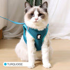Turquoise green / L