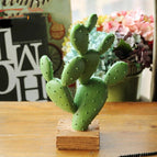 B high 29CM