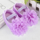 Purple flower / 11