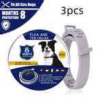 3pcs Grey / Dog 62CM / Boxed