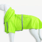 Green / L