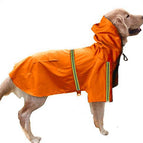 Orange / 2XL