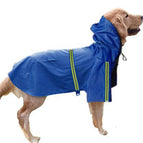 Blue / 2XL