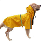 Yellow / 2XL