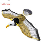 Hanging eagle