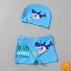 Sky Blue shark / 2XL
