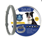 Dog Grey